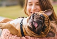 aspca charity rating