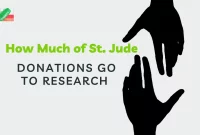 How Much of St. Jude Donations Go to Research