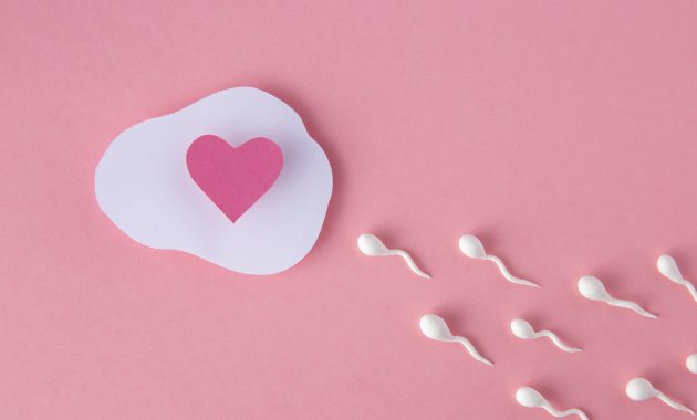 How Often Can I Donate Sperm?