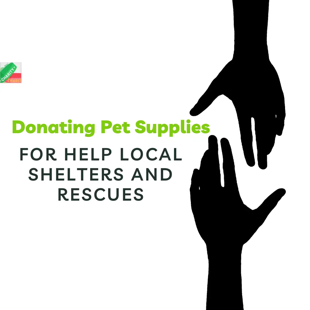How to Donating Pet Supplies For Help Local Shelters and Rescues