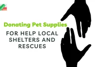How to Donating Pet Supplies For Help Local Shelters and Rescues