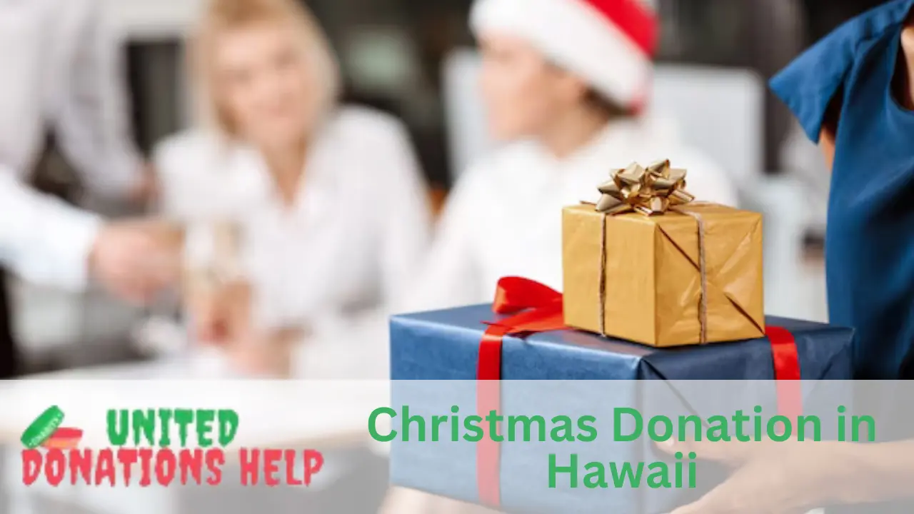 Christmas Donation in Hawaii