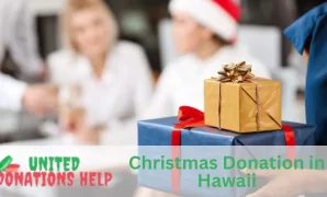 Christmas Donation in Hawaii