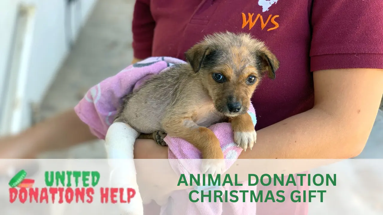 animal donation christmas gift